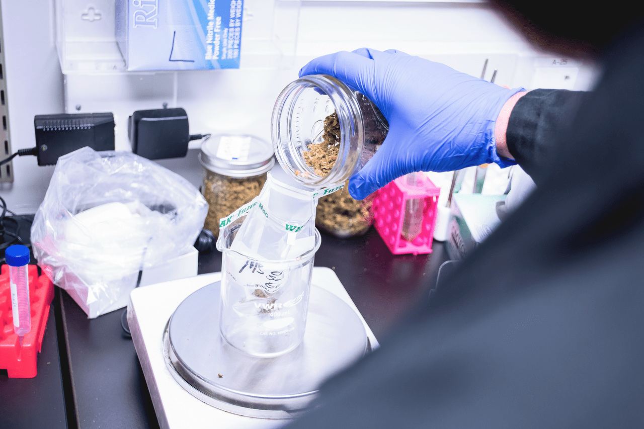 Q&A: Lab Testing After the Vape Crisis - WeedWeek