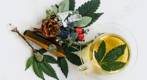 CBD vs THC