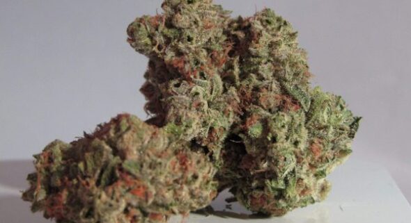recreational marijuana