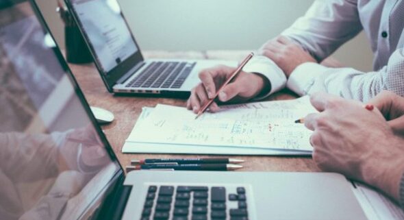 cannabis startups