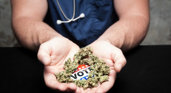 Cannabis Election