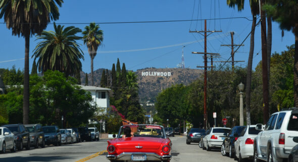 los angeles social equity