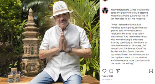 celebrity pot brands