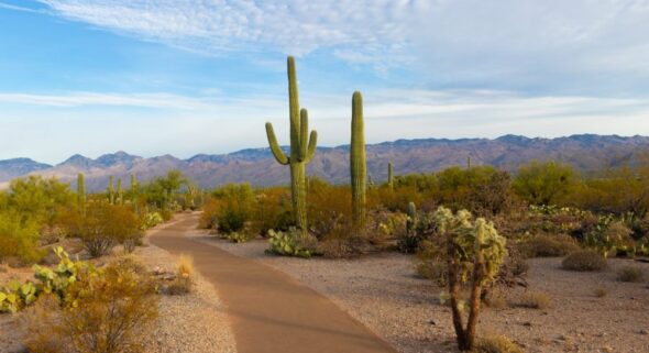 Arizona