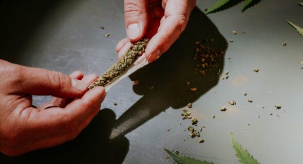 joints