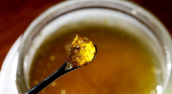 concentrates