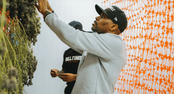 black-owned businesses