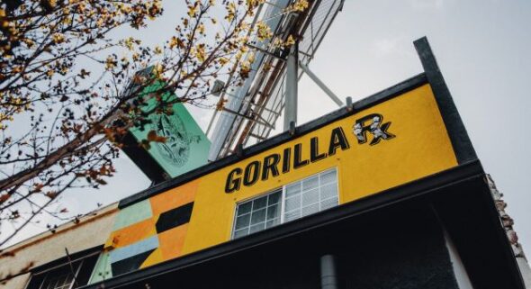 Gorilla RX