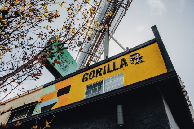 Gorilla RX