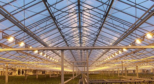 glass house