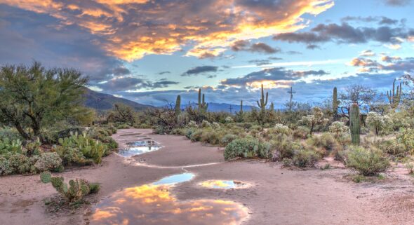 arizona