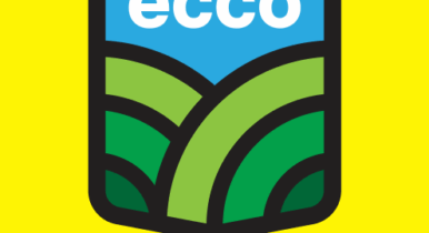 ecco