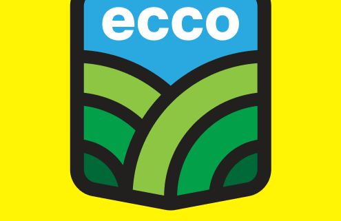 ecco