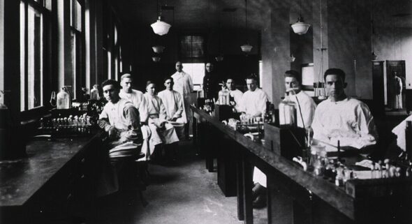 lab