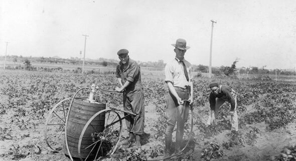 Pesticides