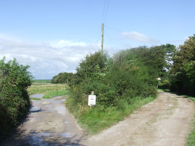 story-image