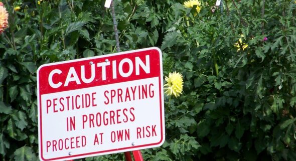 pesticide