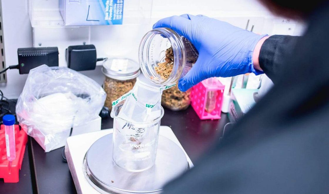 SCOOP: Calif. officials acknowledge testing gaps in lab suit