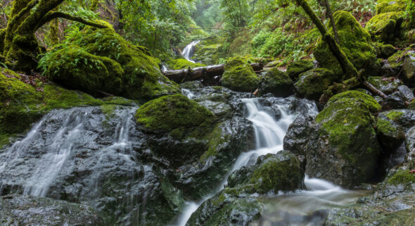 streams
